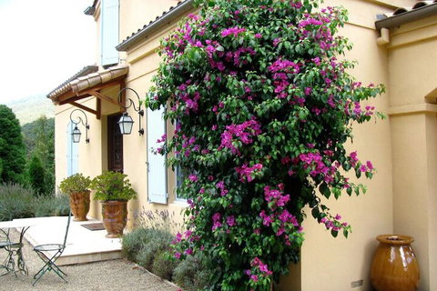 Casa Valeri - Accommodation NT 3