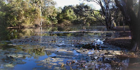Springvale Homestead - Accommodation NT 1