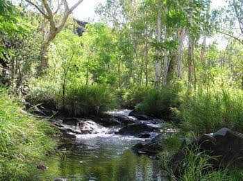 Mt Hart Homestead - Accommodation NT 4