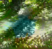 Palm Cove Tropic Apartments - Accommodation NT