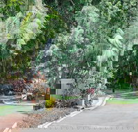 Oasis at Palm Cove - Accommodation NT