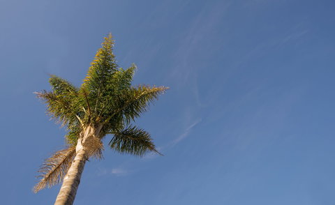 Tuscany Apartments - Accommodation NT 5