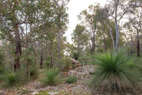 A Hidden Bush Delight - NT Tourism 6