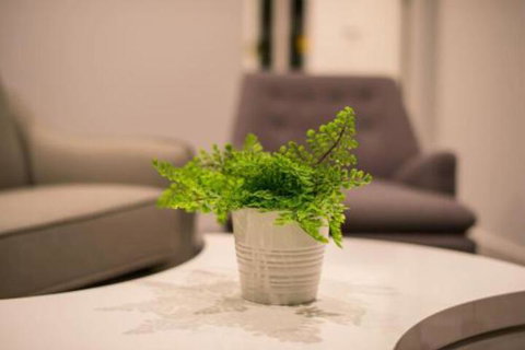 Astrina Garden View 2 Bedroom - Accommodation NT 6