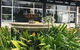 Ettalong Beach Motel - thumb 0