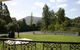 Colins Garden - thumb 4