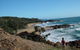 Reef Suite - thumb 5
