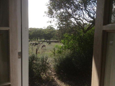 Aashay B & B - Accommodation NT 3