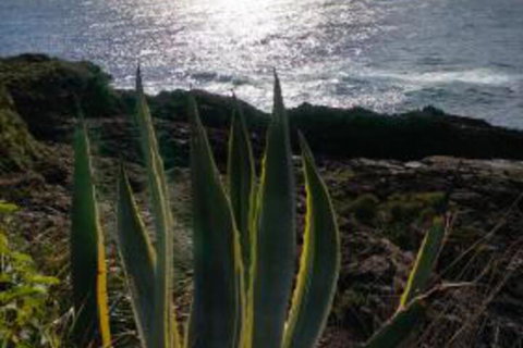 Ven & Marks Place - Accommodation NT 0