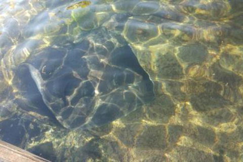 Ven & Marks Place - Accommodation NT 4