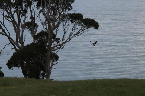 Penguin Seaside Farm - Accommodation NT 6