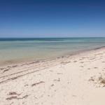 Boardwalk - NT Tourism 0