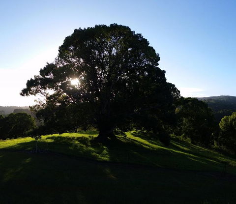 Valleydale Cottage - Accommodation NT 1