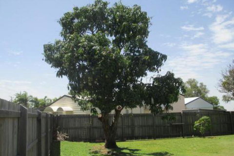 Fishermans Cottage Hervey Bay - Accommodation NT 2