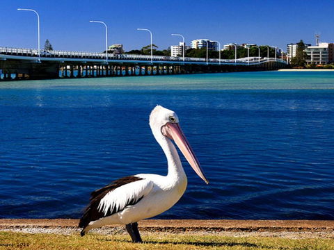 Parkside Marina 1 CBD Location - Accommodation NT 4