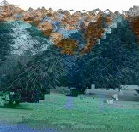 Escape to the Country - Enjoy the Firepit or Explore Magical Bunya Mountains - Accommodation NT