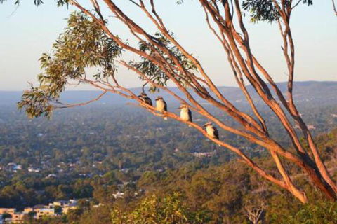Kingsview Belair Apartment Grand Views Of Adelaide - Accommodation NT 4
