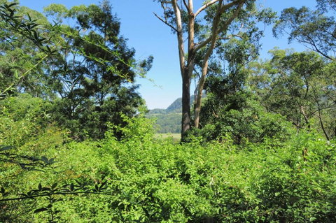 Love Shack 1 Bedroom Cosy Cottage! - Accommodation NT 3