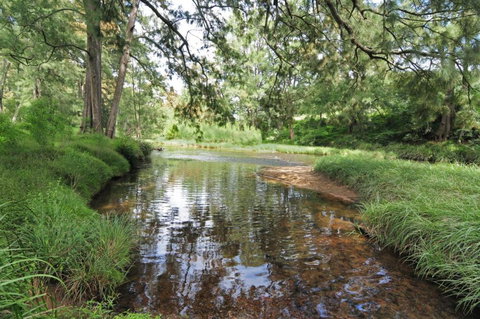 Love Shack 1 Bedroom Cosy Cottage! - Accommodation NT 2