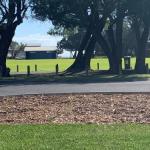 Yaringa Cottage...by The Sea - Accommodation NT 0