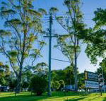 Dorrigo Mountain Holiday Park - Accommodation NT