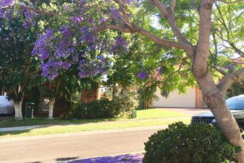ULTRA SPACIOUS STYLISH HOME In PRESTONS SYDNEY - Accommodation NT 7