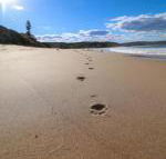 Surfers Paradise at Catherine Hill Bay - NT Tourism