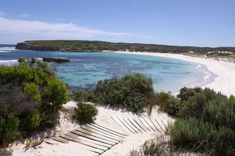 Hanson Bay Wildlife Sanctuary And Cabins - Accommodation NT 1
