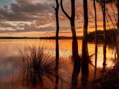Banksia - Accommodation NT 3