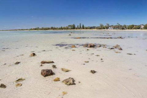 Bottlebrush - NT Tourism 4