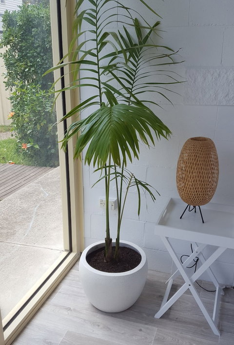 Beach Holiday Apartments Motel - Accommodation NT 5