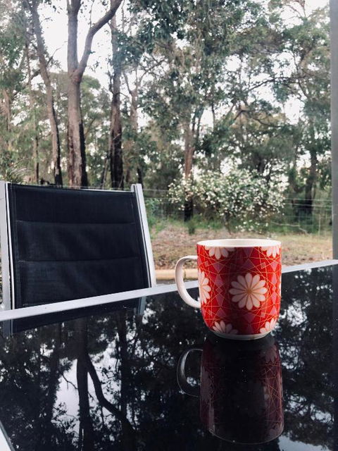 On The Edge Of The Forest - Accommodation NT 6