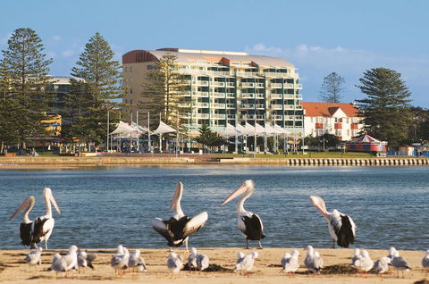 Oaks The Entrance Waterfront Suites - NT Tourism 1