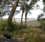 Canyon Cottage - Accommodation NT