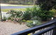 Briar Rose Cottages - thumb 6