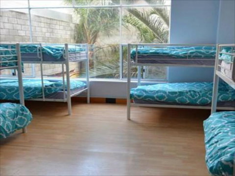 Wombat Backpackers - Accommodation NT 5
