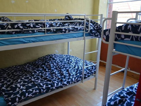 Wombat Backpackers - Accommodation NT 2