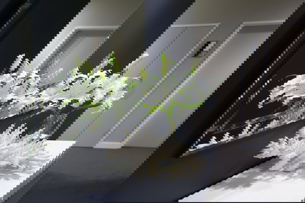 Goodna QLD Accommodation NT