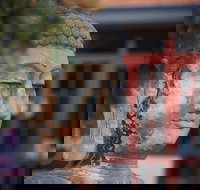 Pagoda Resort  Spa - Accommodation NT