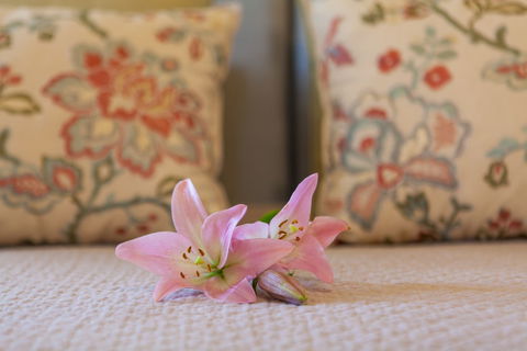Stonewell Cottages & Vineyards - Accommodation NT 2