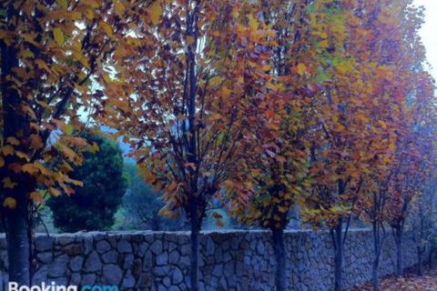 Birches Luxury Spa Chalets - Accommodation NT 5