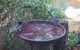 Dunsborough Ridge Retreat - thumb 6
