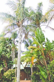 Yallingup Lodge Spa Retreat - Accommodation NT 1