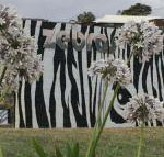 Zebras Guest House - NT Tourism