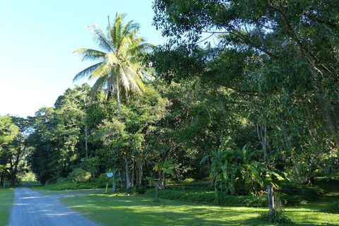 Daintree Valley Haven - Accommodation NT 1