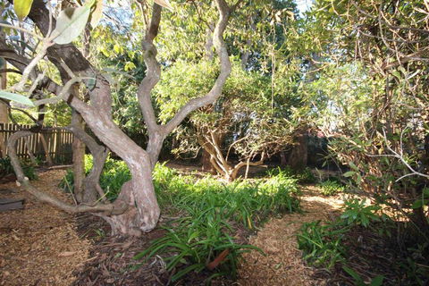 Stonewall Cottage For Two With Fireplace - Accommodation NT 2