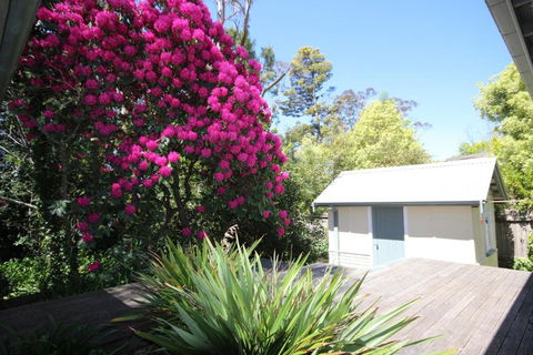 Stonewall Cottage For Two With Fireplace - Accommodation NT 5