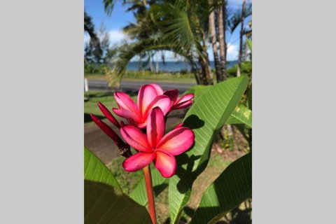 Mission Possible - Accommodation NT 6