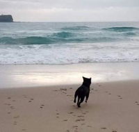 Breakers at Mudjimba Beach - Accommodation NT