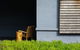 Bowral Boutique Motel - thumb 1